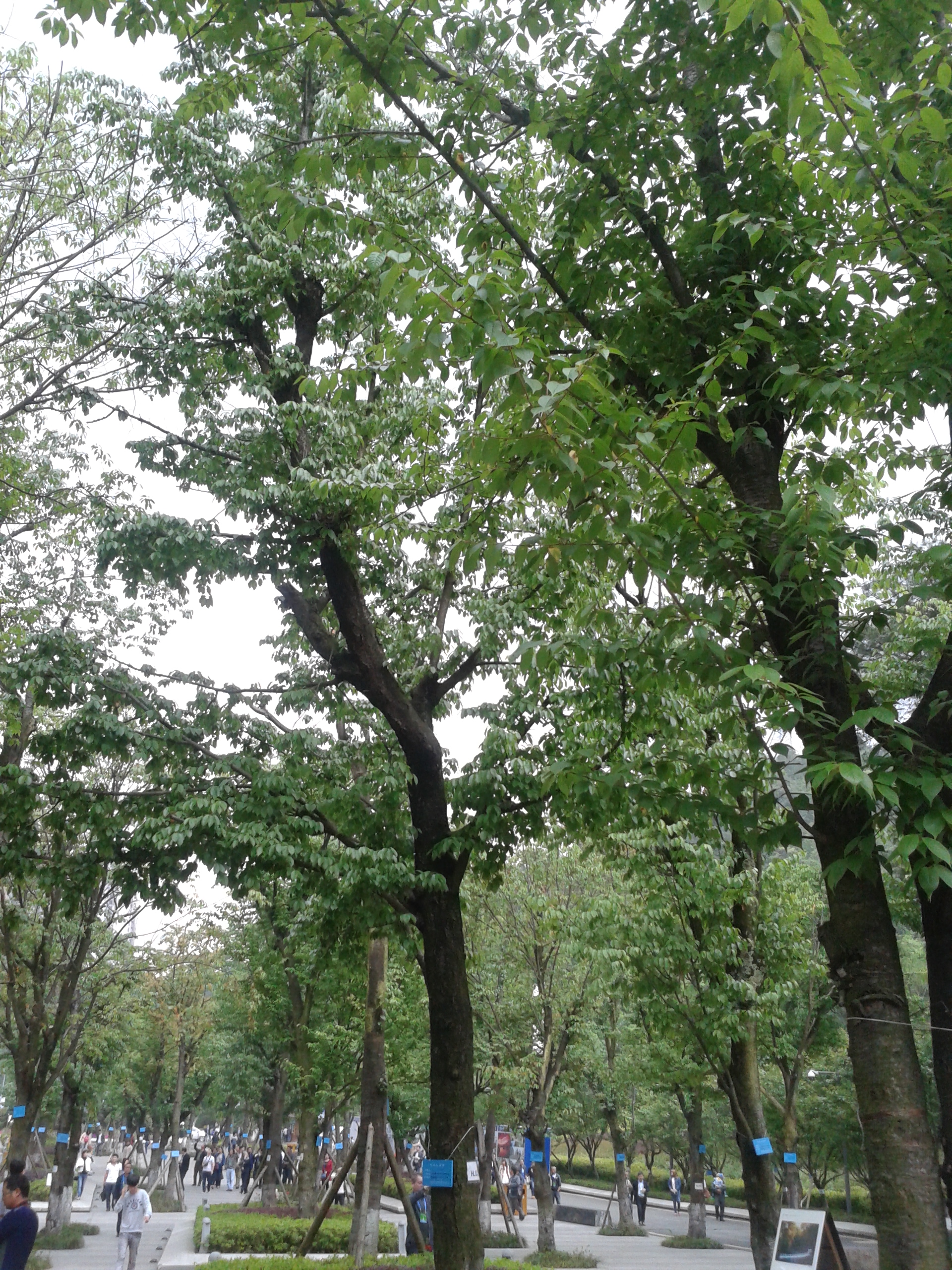 阿哈湖有什么景点,阿哈湖风景区