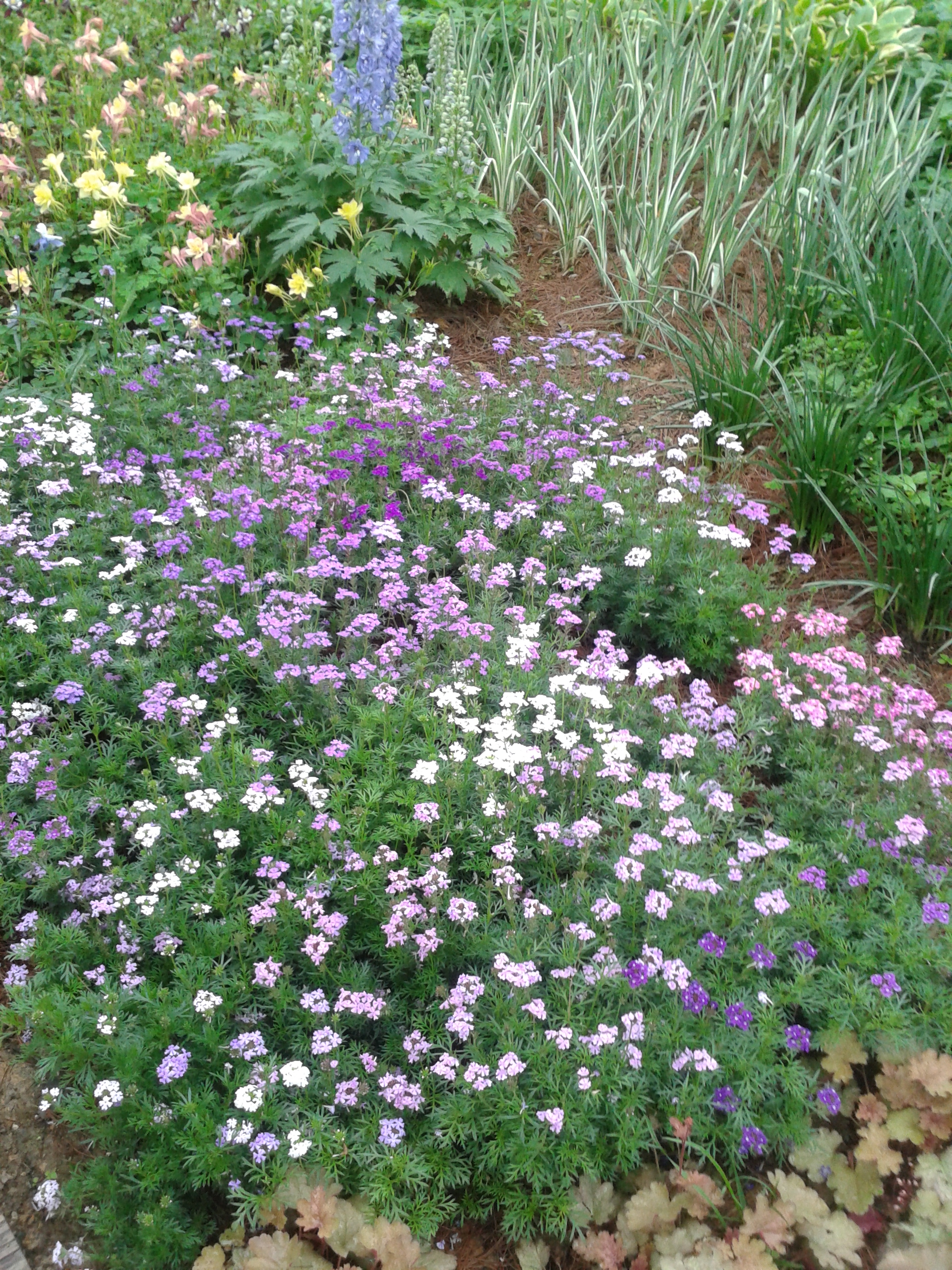 阿哈湖有什么景点,阿哈湖风景区