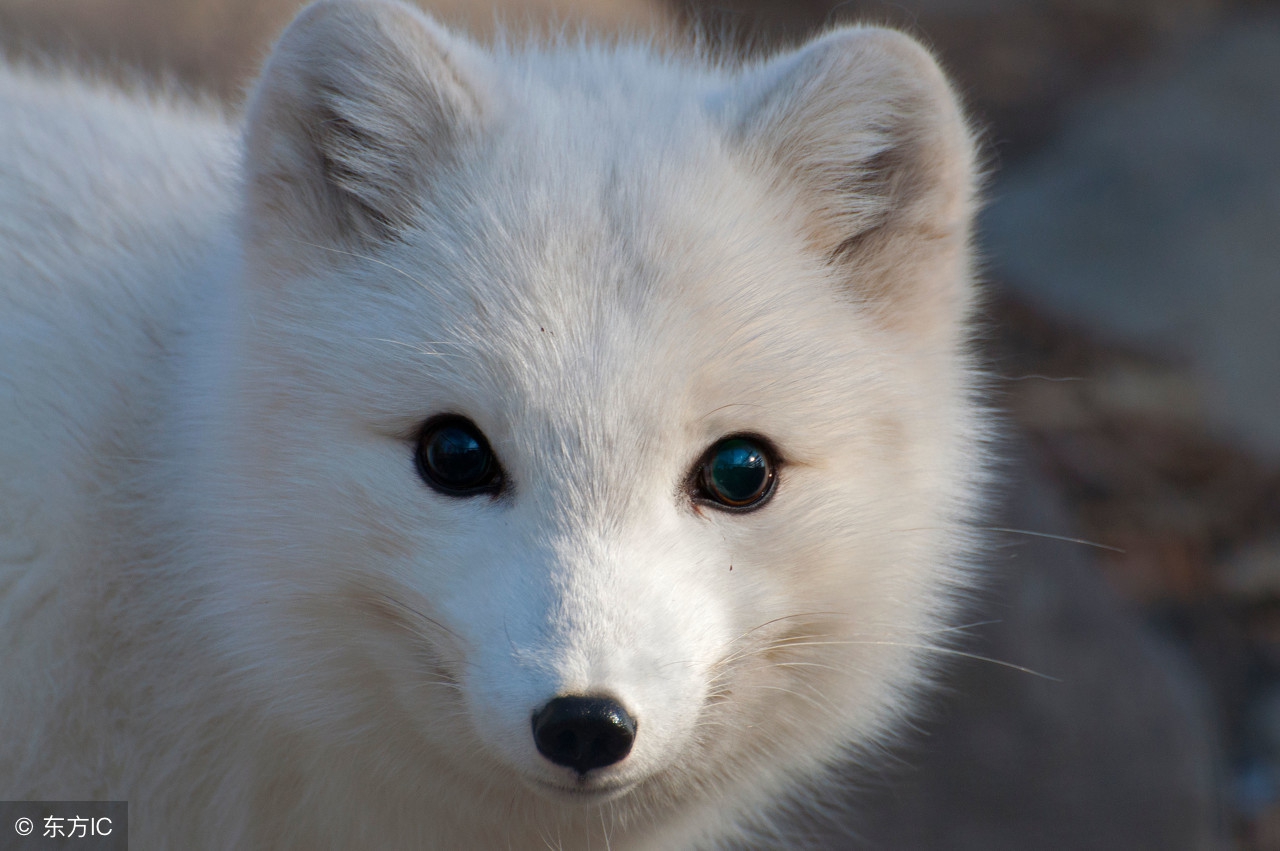 作家专访︱陈佳同：想象力让生活不再只是一种颜色