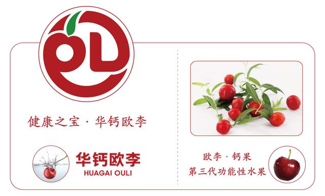 酵素桶真的可以净化水吗,酵素桶自制西瓜酵素配方大全