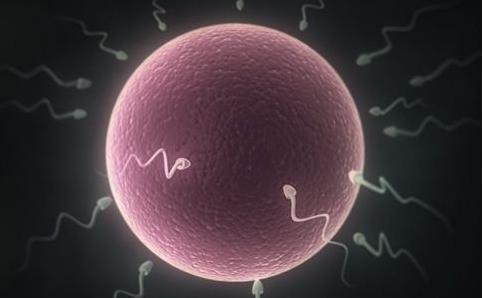 孙老师备孕视频教程,孙老师备孕系列课