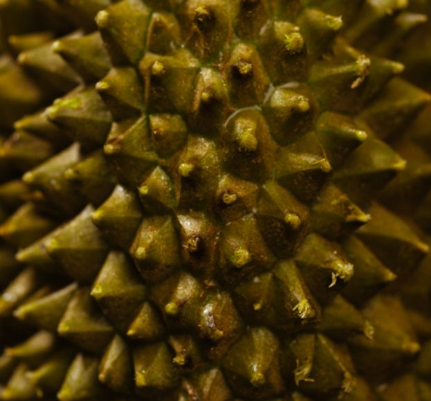 上海半岛酒店米其林月饼7月12日上线售卖，打折、优惠全攻略！