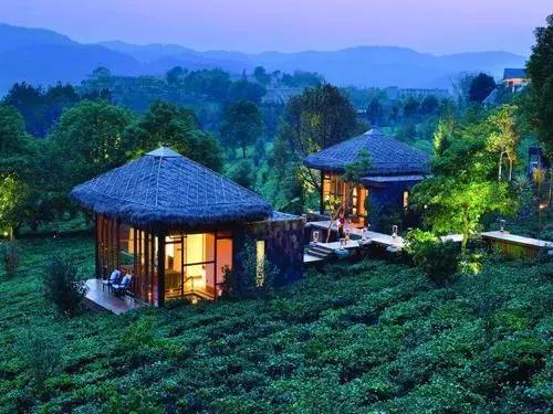 景迈山普洱茶生茶357克什么价格,景迈山普洱茶150克价格2012年