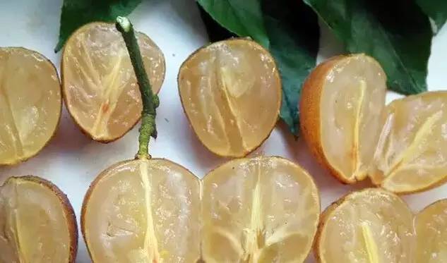 全身是宝的药,全身都是宝的种子