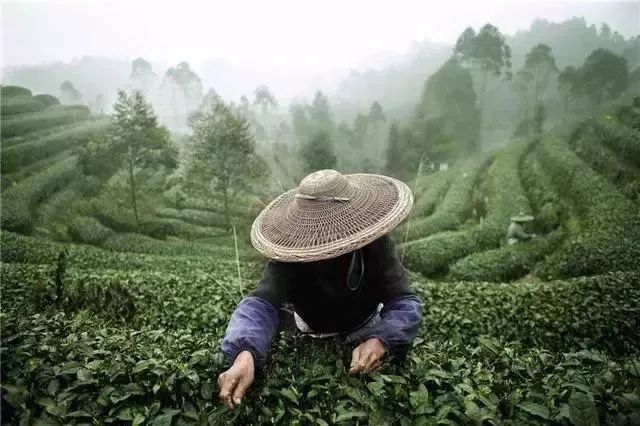 三联周刊,三联周刊讲述的是什么