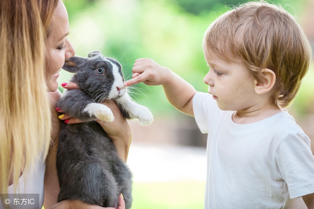 大叔小宠讲堂之坎贝尔仓鼠介绍,大叔小宠讲堂