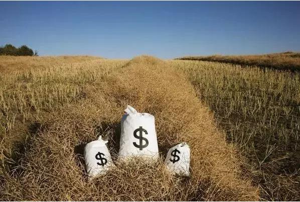 互联网农业四个领域值得布局,未来5年互联网农业发展