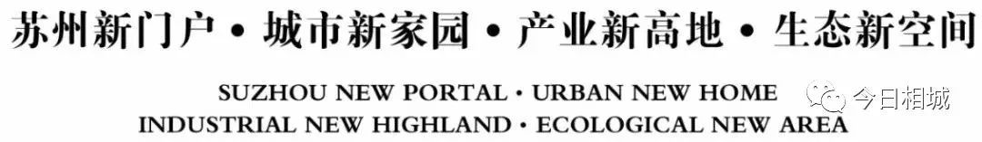 六月黄的阳澄湖大闸蟹,六月黄阳澄湖大闸蟹鲜活上市