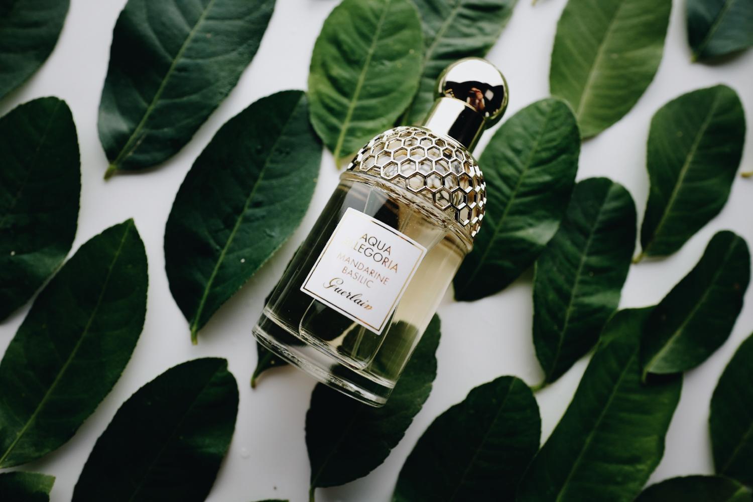 香水夏天清新推荐,适合夏天的香水有哪些