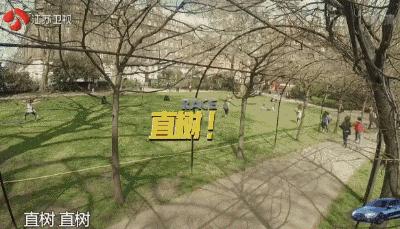 王大陆演的江直树,王大陆版江直树林允