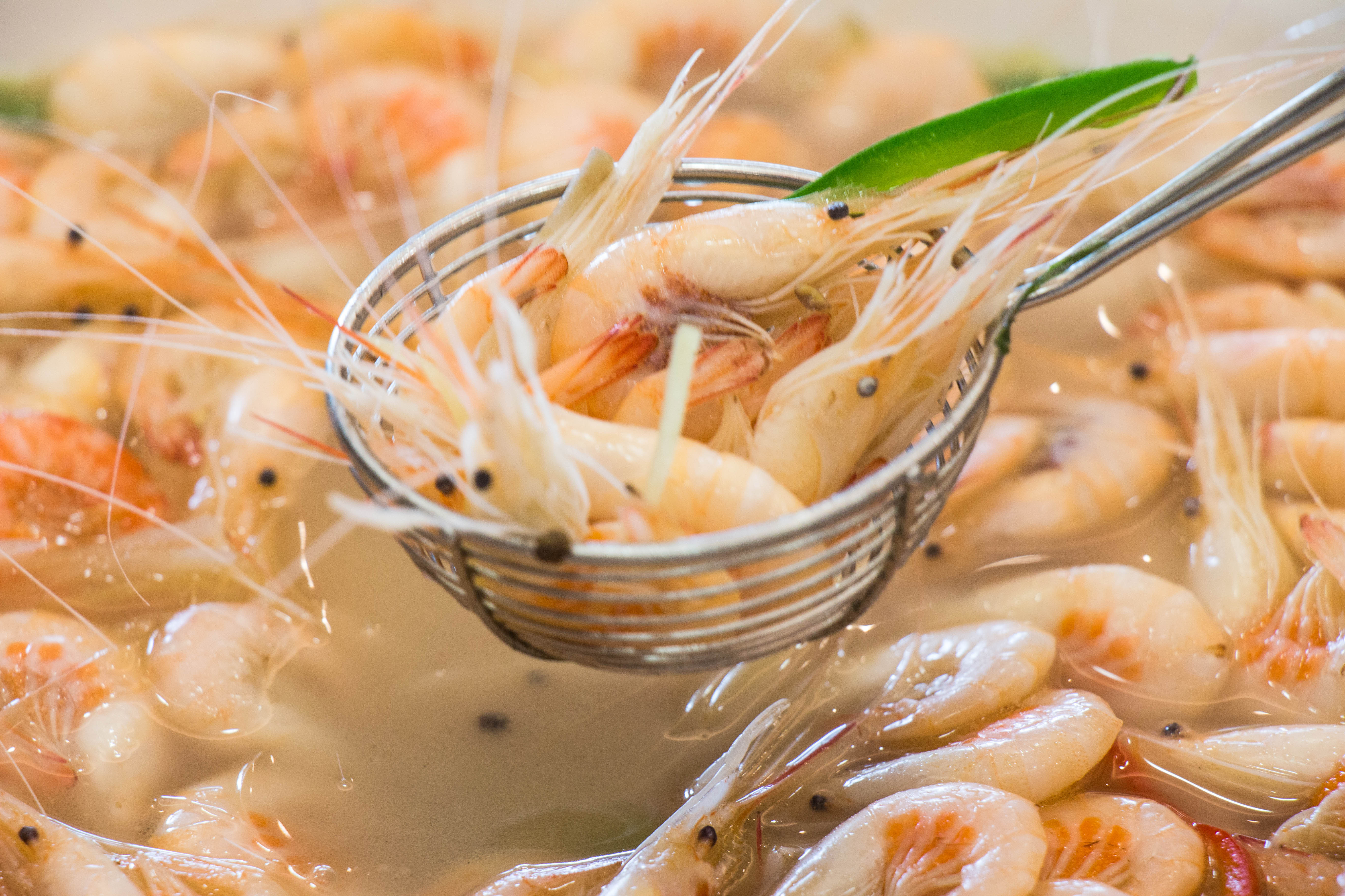 瀵昏涓北涔嬫梾 (鏆戝亣涓北鏈夊摢浜涘ソ鐜╃殑鍦版柟)