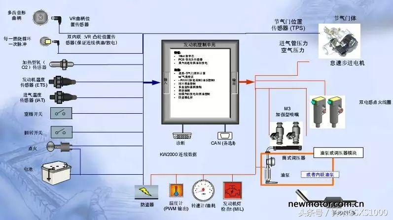 7月买燃油车,7月买车还是8月买