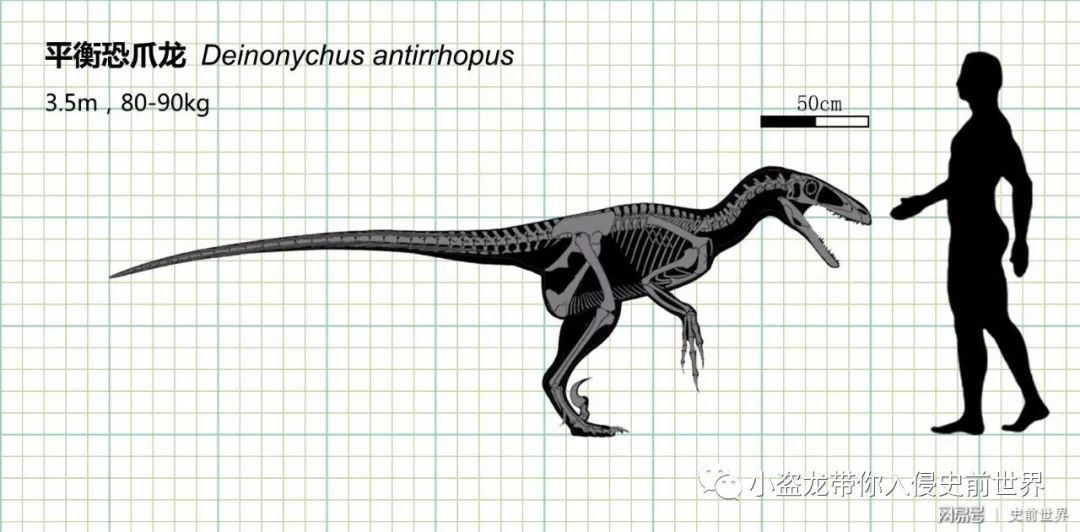 侏罗纪世界迅猛龙叫什么名字,侏罗纪世界暴虐迅猛龙只有一只吗