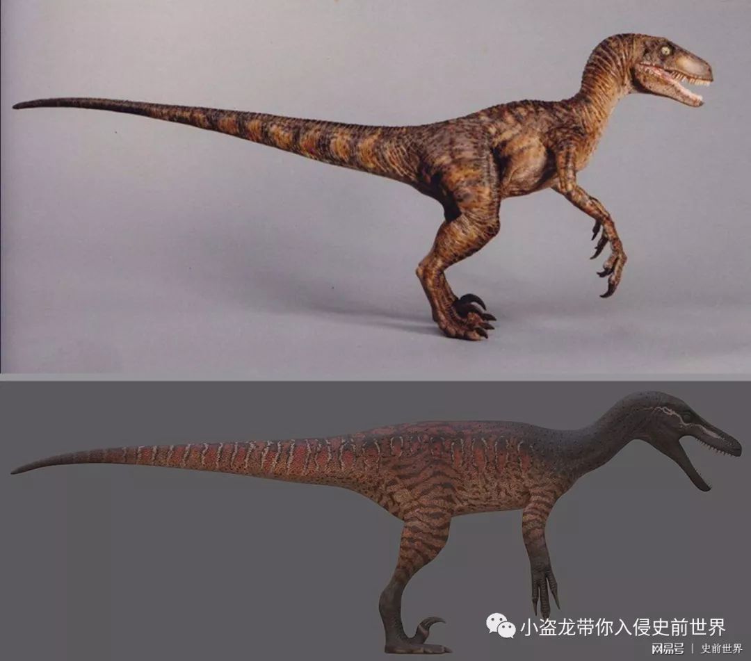 侏罗纪世界迅猛龙叫什么名字,侏罗纪世界暴虐迅猛龙只有一只吗