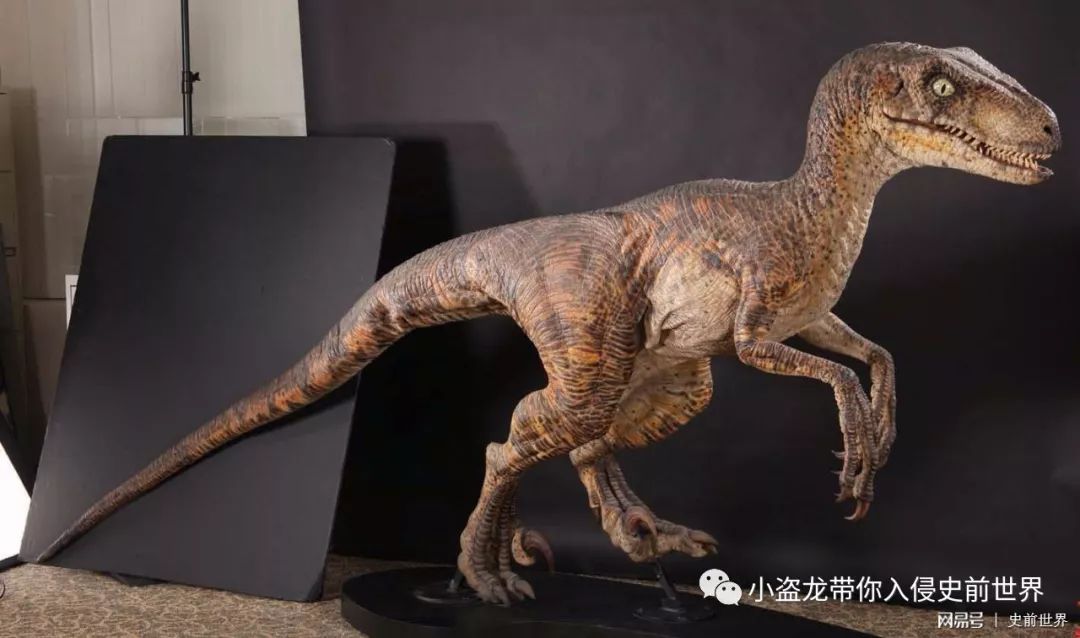 侏罗纪世界迅猛龙叫什么名字,侏罗纪世界暴虐迅猛龙只有一只吗