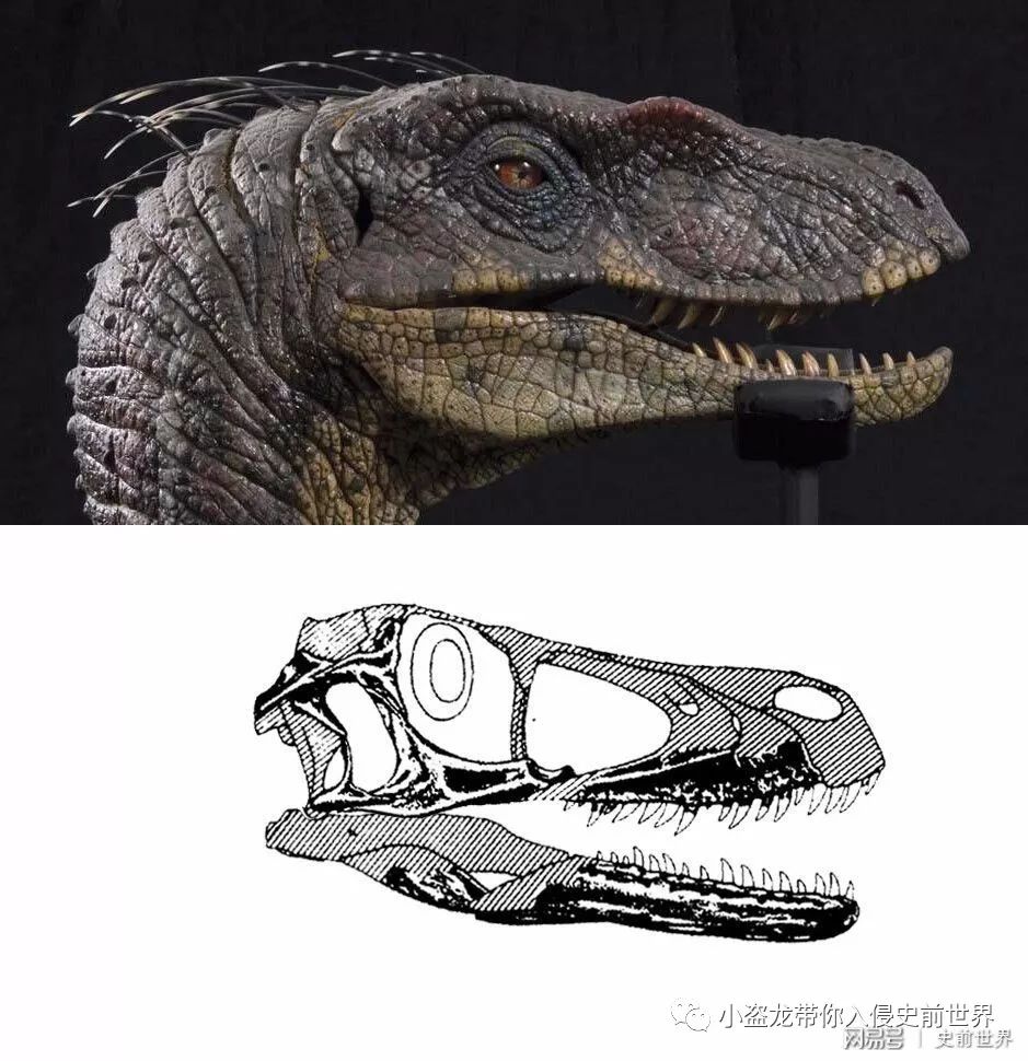 侏罗纪世界迅猛龙叫什么名字,侏罗纪世界暴虐迅猛龙只有一只吗