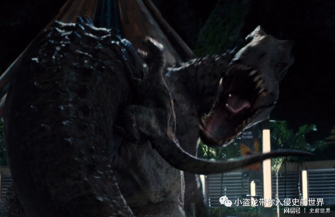 侏罗纪世界迅猛龙叫什么名字,侏罗纪世界暴虐迅猛龙只有一只吗