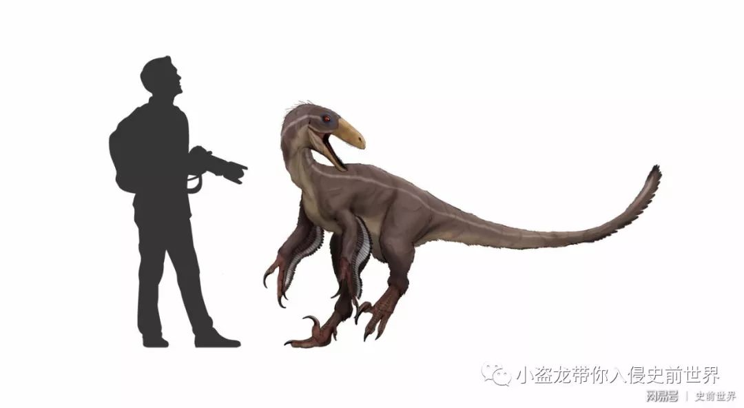 侏罗纪世界迅猛龙叫什么名字,侏罗纪世界暴虐迅猛龙只有一只吗