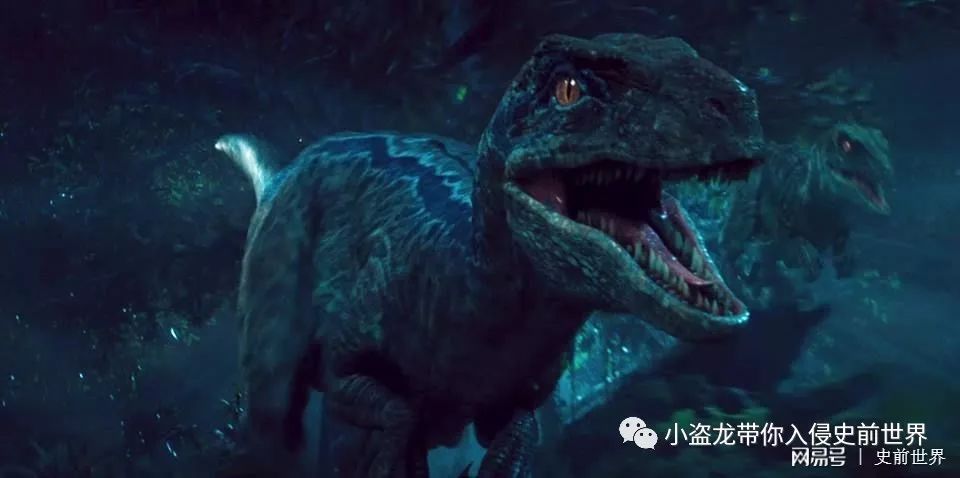 侏罗纪世界迅猛龙叫什么名字,侏罗纪世界暴虐迅猛龙只有一只吗