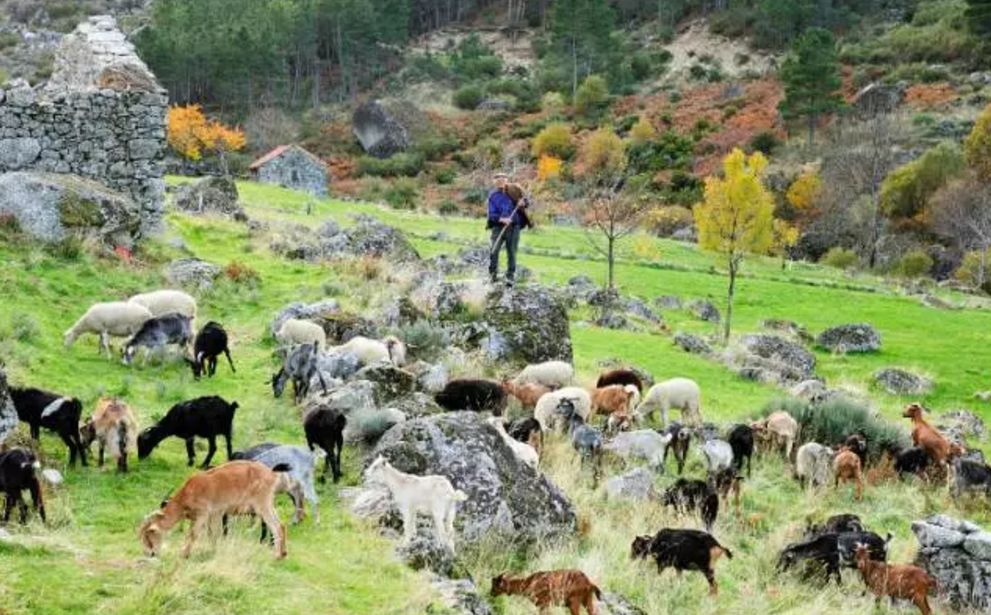 波兰院线面膜美白,深海白珍珠面膜
