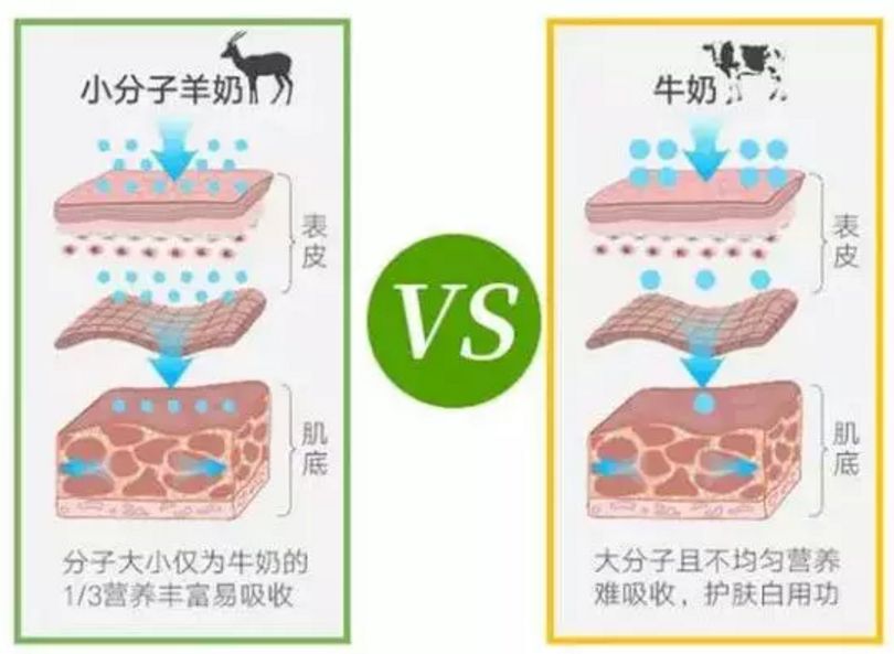 波兰院线面膜美白,深海白珍珠面膜