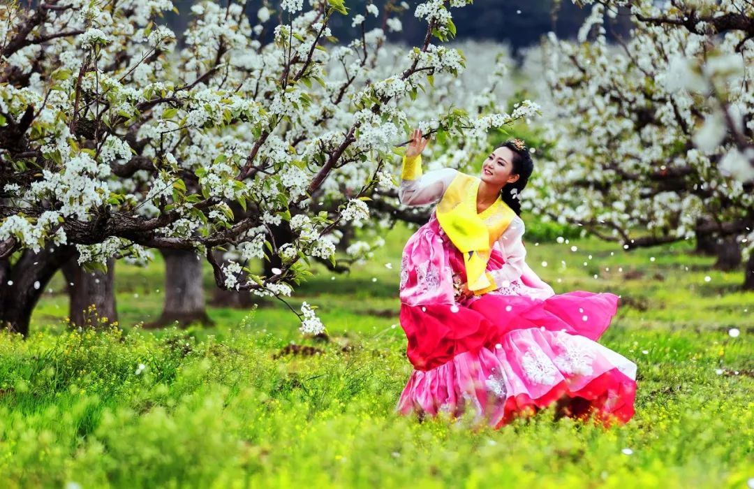 延边旅游排行榜前十名,延边旅游最好的地方