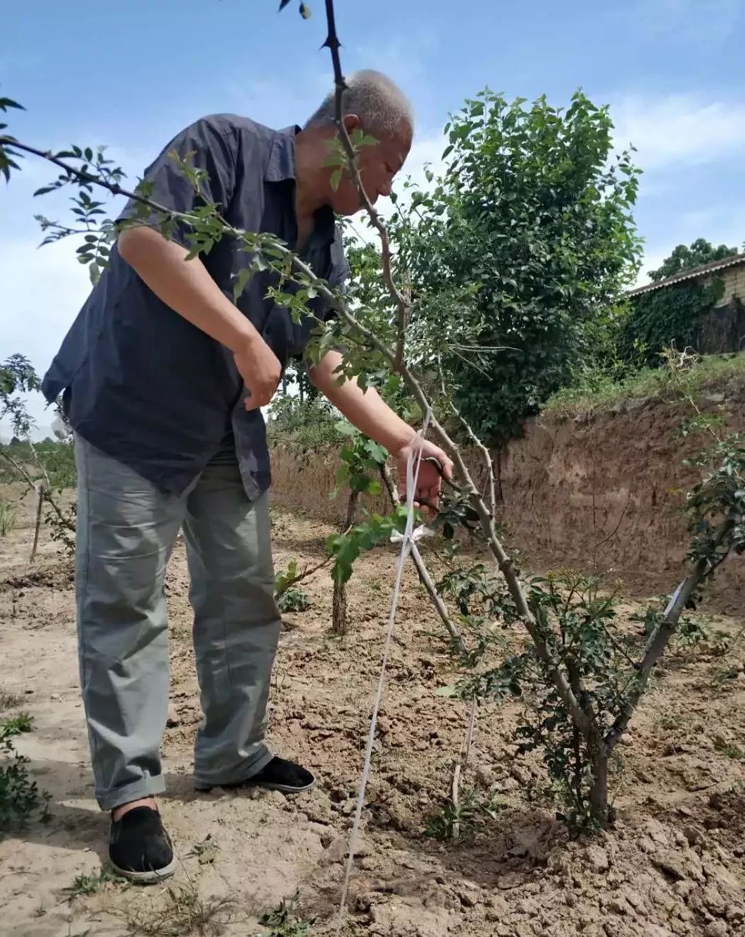 学医的社会意义,学医的意义在哪里的视频