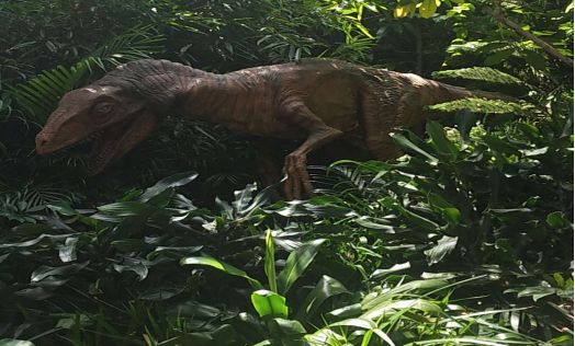 欢乐长隆，完美谢幕——郑州中学粤港澳研学报道系列五