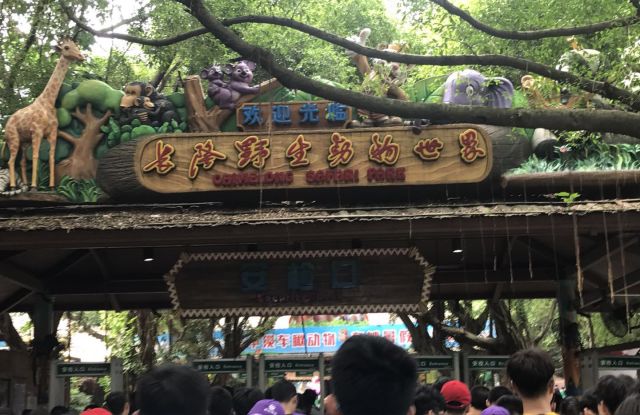 欢乐长隆，完美谢幕——郑州中学粤港澳研学报道系列五