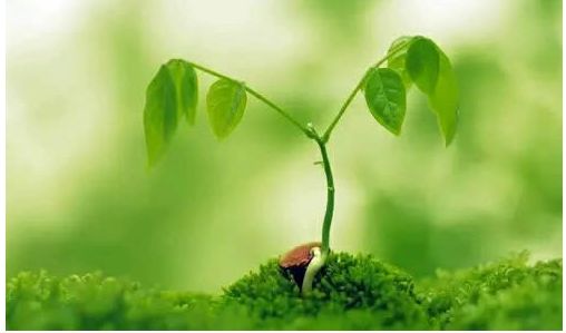 成长日记三年级下册,成长日记2026