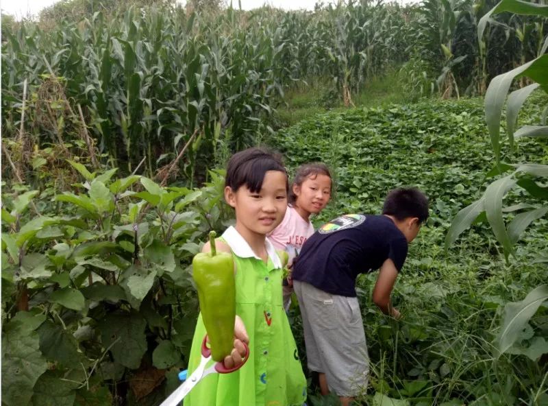 成长日记三年级下册,成长日记2026