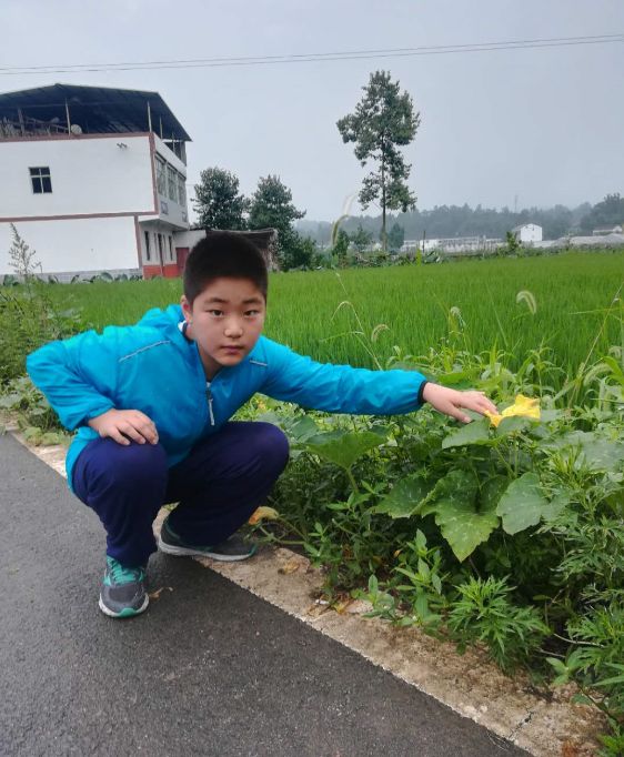 成长日记三年级下册,成长日记2026