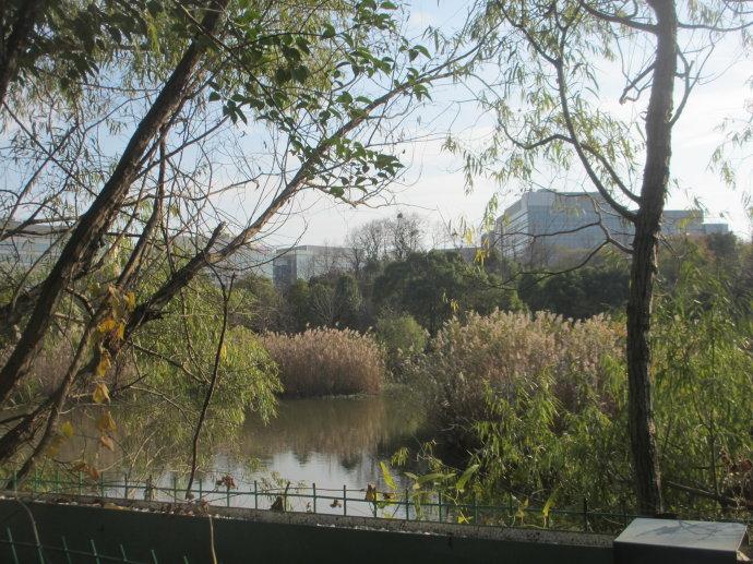 亚洲上最大的废弃飞机场,远东机场