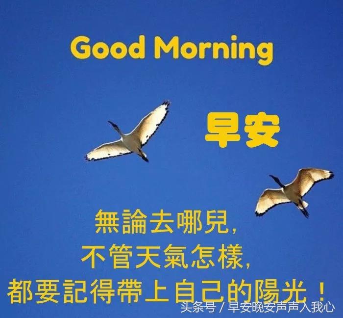 七月早上好动态图片大全,关于1月早安励志图片