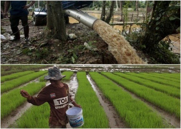 泰国足球小将全部视频,泰国少年足球队被困洞穴整整18天