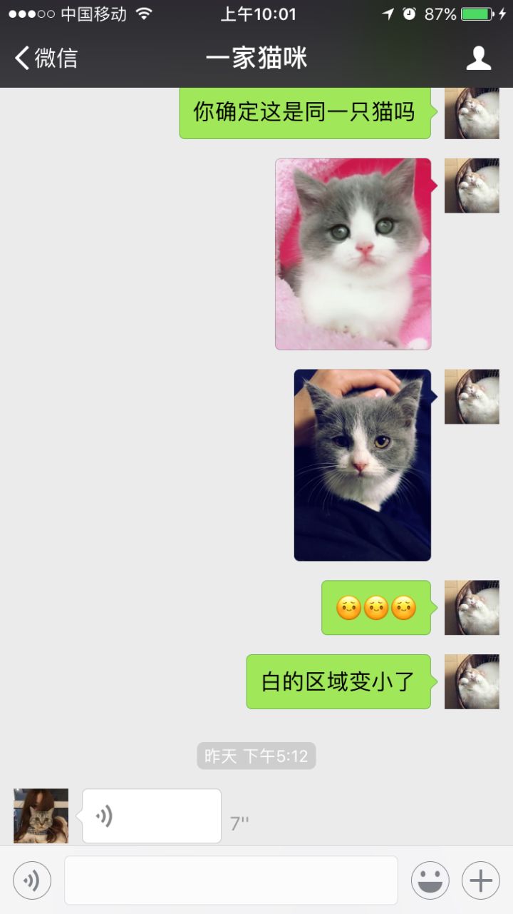 千万不要在网上买宠物,在网上买宠物被坑了怎么办