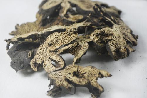 心气虚肺气虚脾气虚,心气虚脾气虚肾气虚用什么方子好