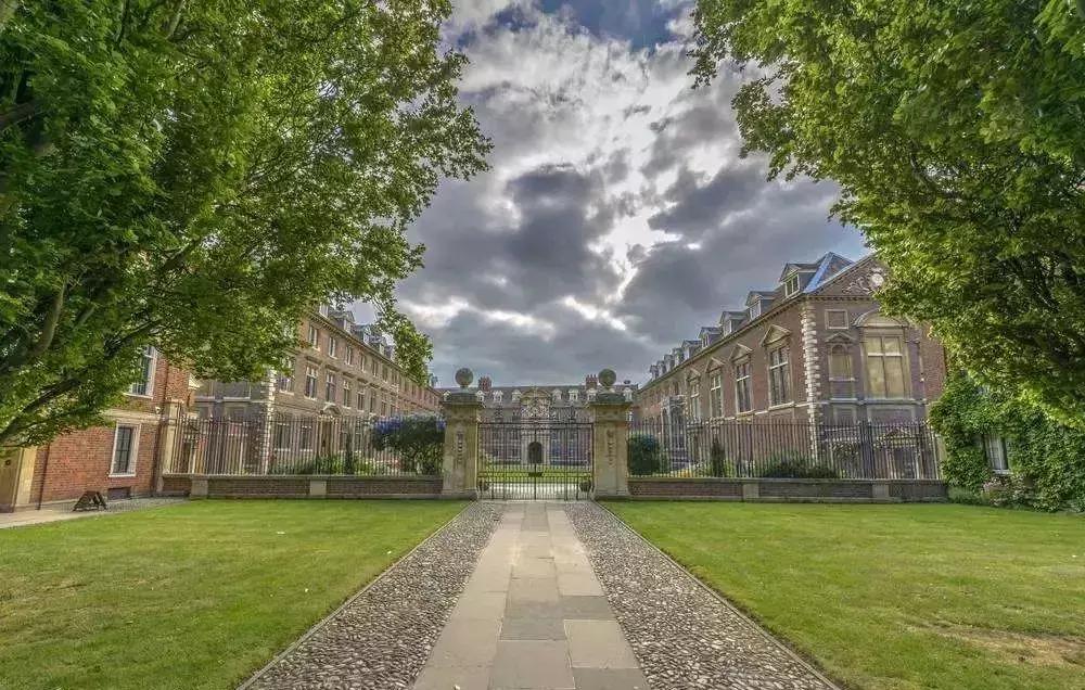 中国人养活了全美国的野鸡大学？这已成现实