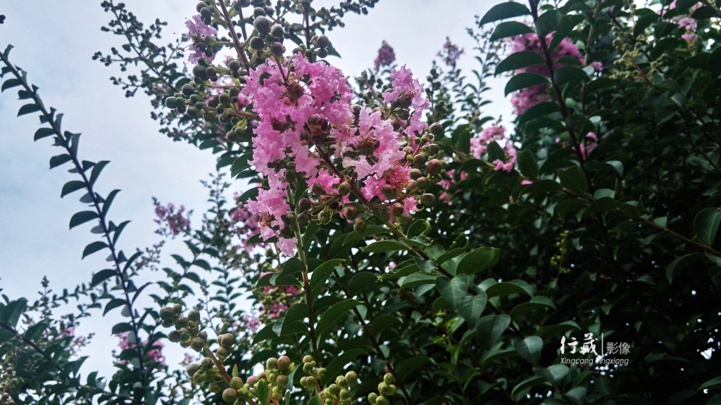 一个好玩的农庄！帐篷烧烤足球赛CS拓展摘果子