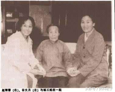 二姐横死，16岁小妹历尽艰辛为其伸冤，真实的杨三姐告状