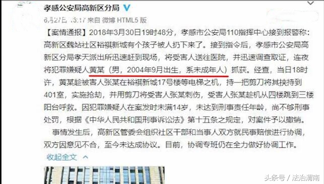 孩子持刀砍人警方怎么处理,13岁男孩刺伤女孩被判