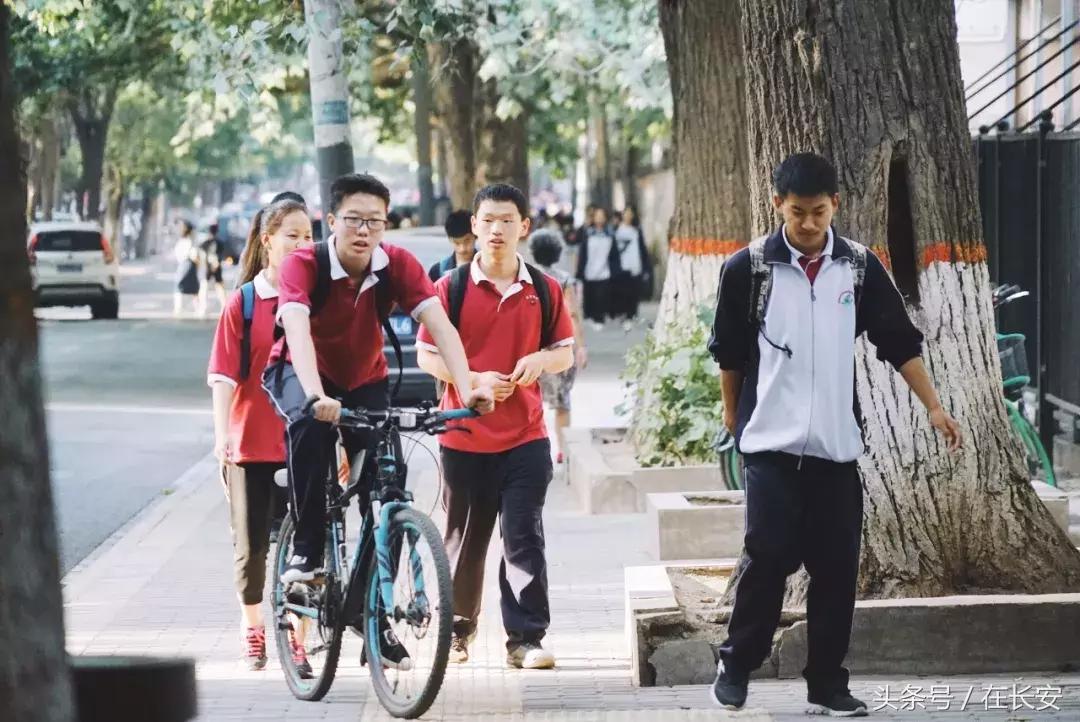 新科路离这有多远,新科路