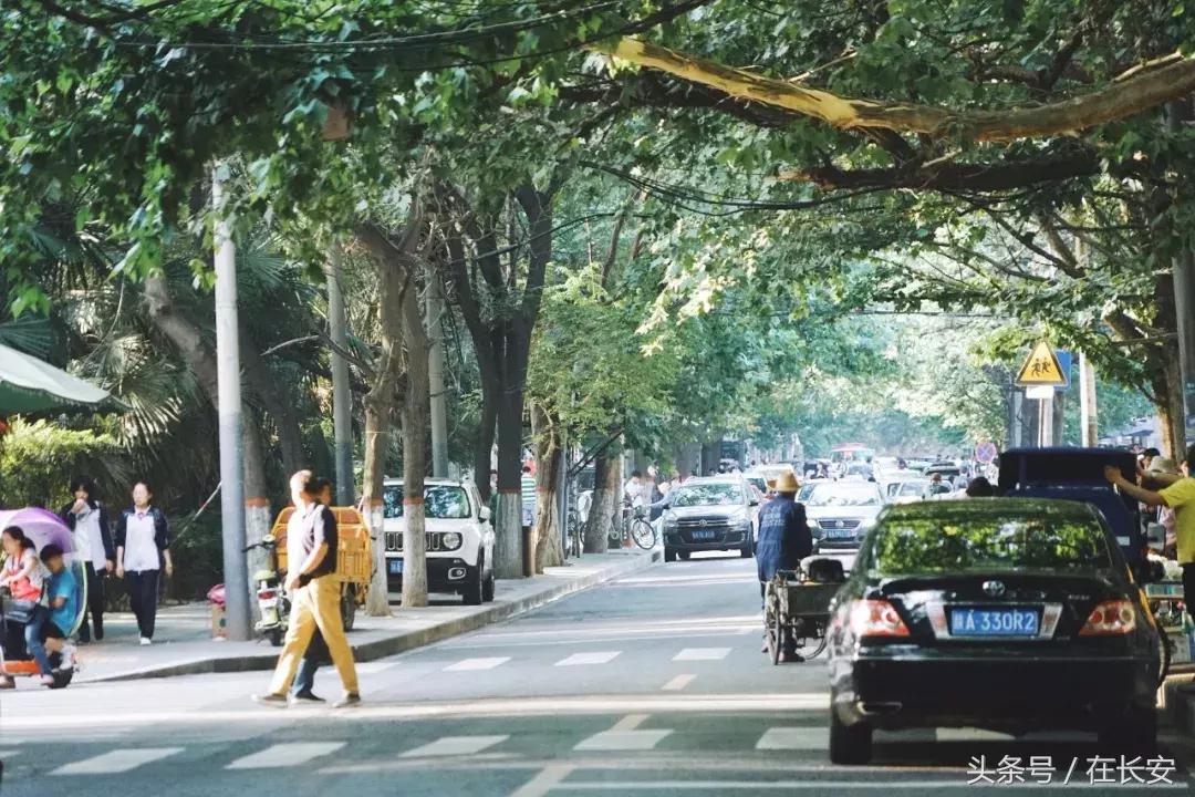 新科路离这有多远,新科路