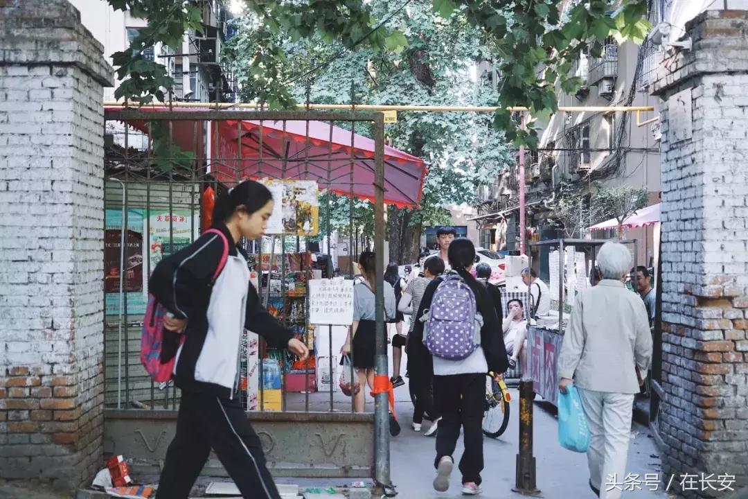 新科路离这有多远,新科路