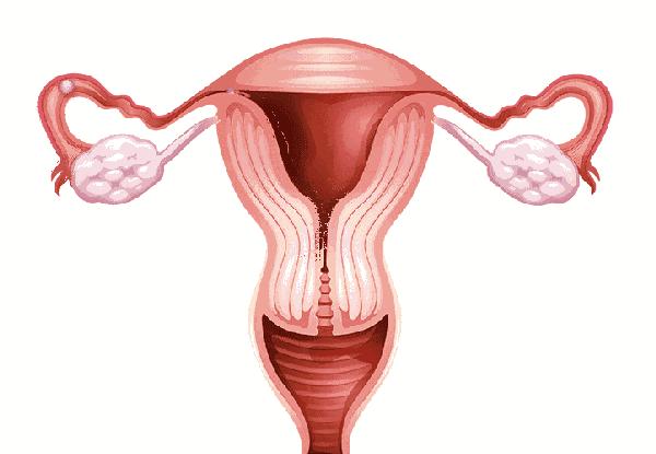 女的结扎扎哪里还可以怀孕吗,女人结扎的部位是关元穴吗