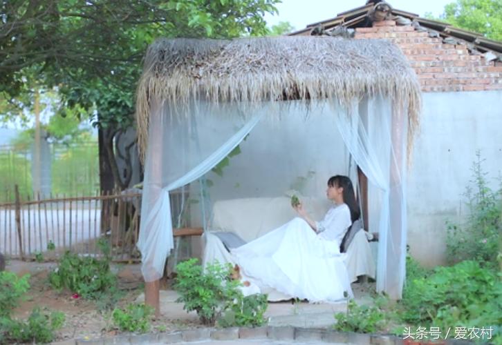 什么样的乡村生活你最向往,农村的生活是你最向往的