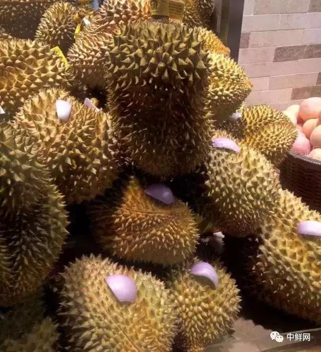 水果飞虫怎么消灭最简单的方法,腐烂水果滋生的小飞虫怎么去除