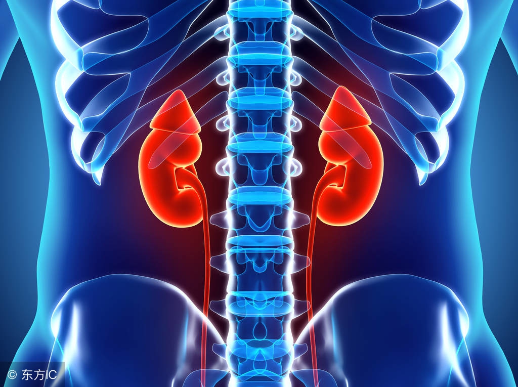 腰酸就是肾不好,腰酸是肾虚的表现吗