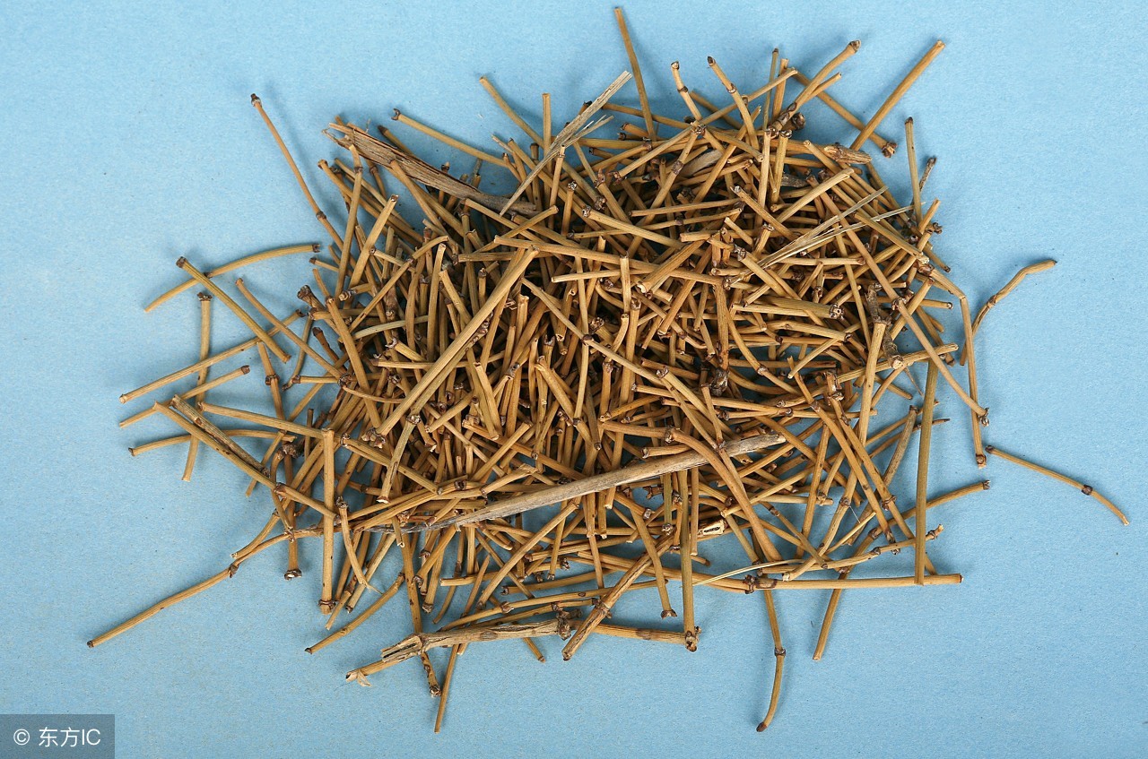 农村这种野草,是孩子们的玩具,却被列为有毒植物!注意了!