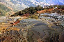 元阳哈尼梯田的历史,元阳梯田是红河哈尼梯田的核心区